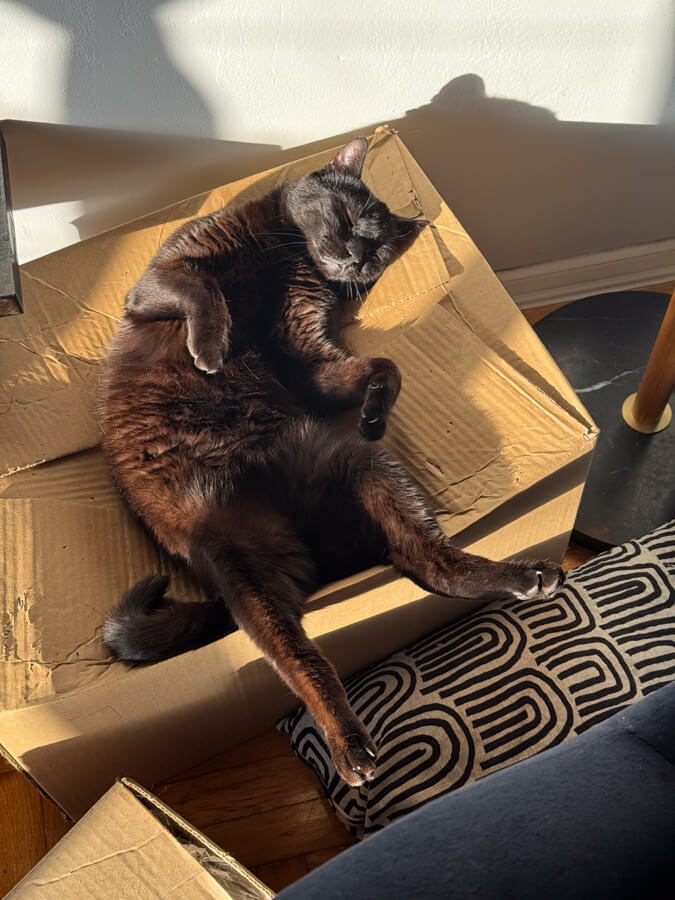 Чорапи Purrs — снимка от галерията